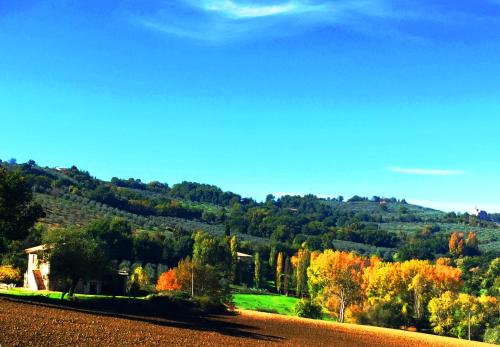 Appartamenti Verde Collina Umbra