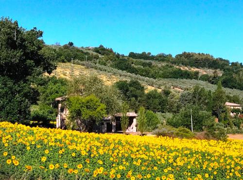 Appartamenti Verde Collina Umbra