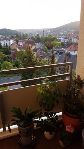 1,5 Zimmer Apartments mit traumhafter Aussicht