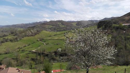 Apartamentos El Llanin