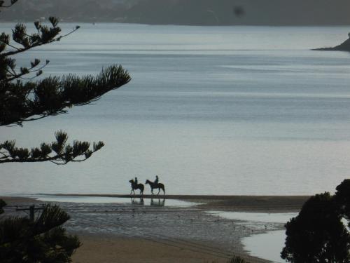 Changing Tides BnB — Photo 4