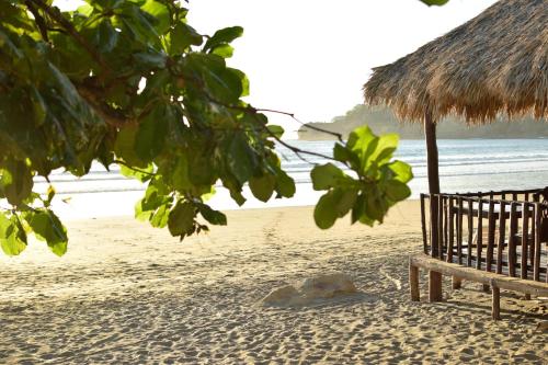 Aktivnosti, Casa Oro Eco Hostel in San Juan Del Sur