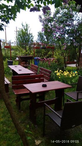 Elga´s Punk Rock Hostel - image 6