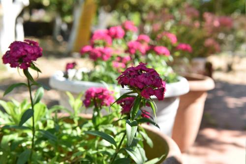  Paradise Rooms in Vrýsai