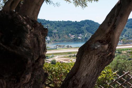 Apartments Villa L&M Skiathos - image 13