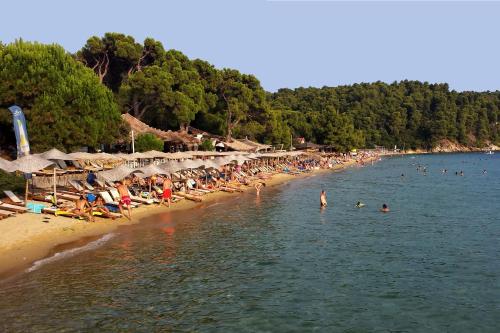 Apartments Villa L&M Skiathos in Skiathos-Stadt