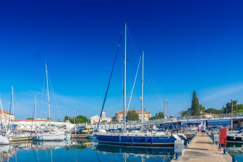  Blue Star in Zadar