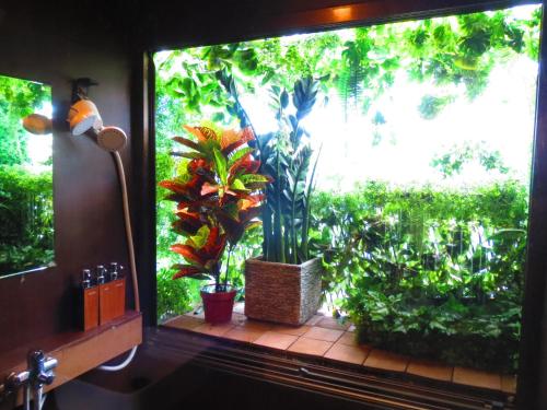 Stella Resort in Okinawa Main island