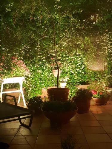 B&B Michelangelo, Naples