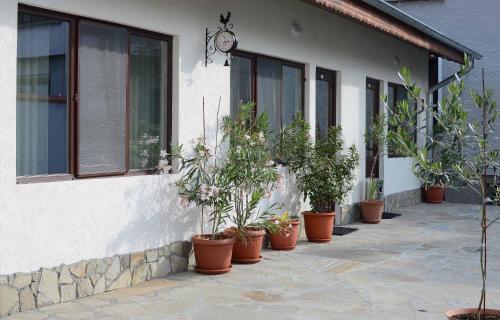 Ieeja, Guest House Dar in Tryavna