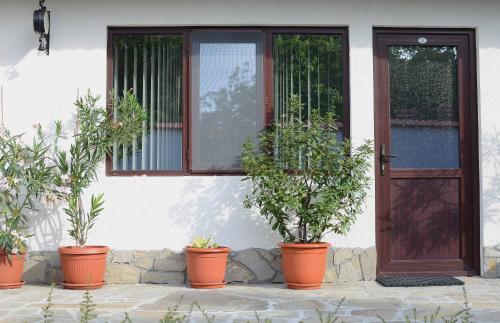 Dārzs, Guest House Dar in Tryavna