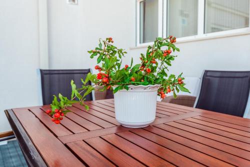 Apartmani Gelo