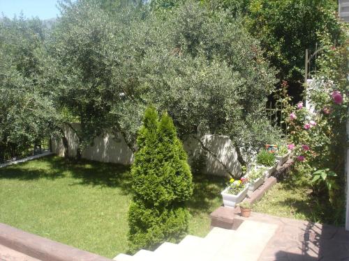 Apartments Popovic 2 - image 13