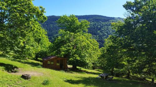Camping Camaldoli in Серравалле Скрівіа