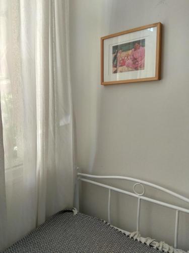  Cocoyam in Thessaloniki