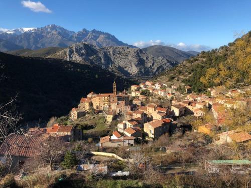 Charmant F2 dans joli village Corse - Location saisonnière - Omessa