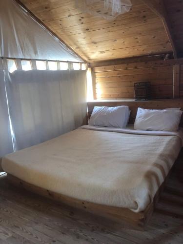 Nuweiba Lodge