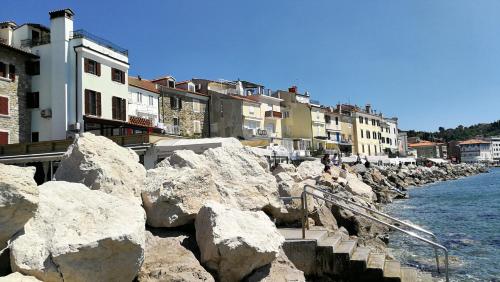 Piran Punta Kim Apartment