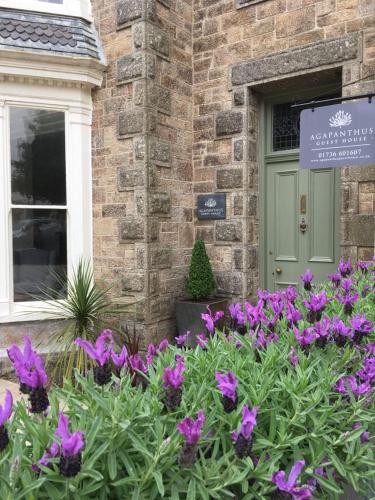 Agapanthus Guest House, Penzance, Cornwall