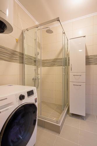 Apartment SVS - image 4