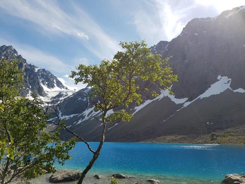 Slåtteng - image 12