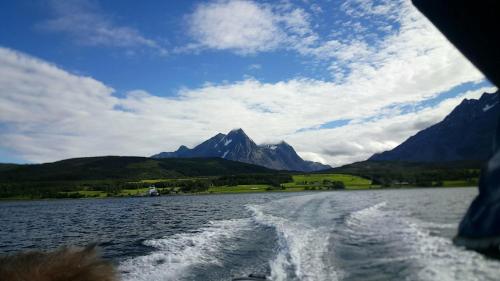 Slåtteng - image 6