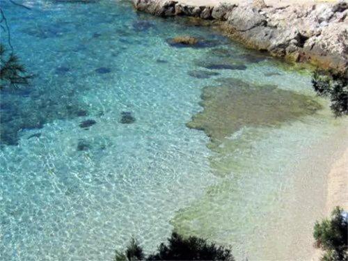 Hvar, 10m from the sea studio E
