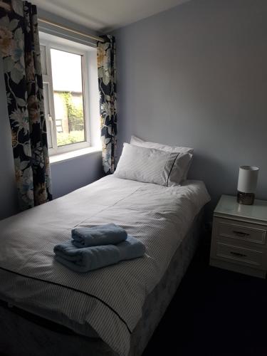 Alexandra Lodge Guest House - image 7