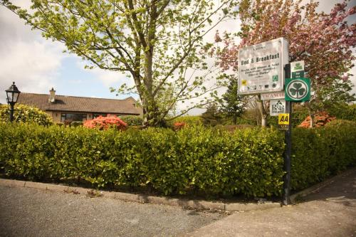 Torine House B&B - image 12