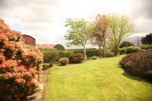 Torine House B&B - image 14