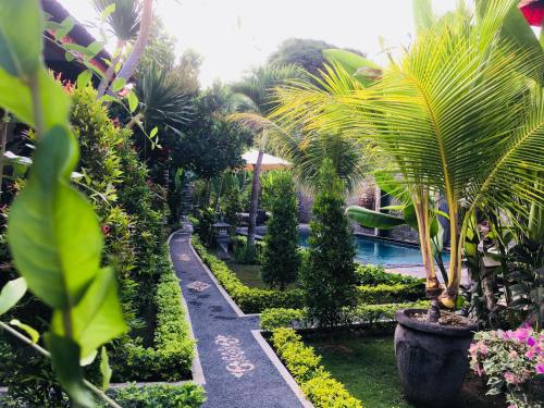 Isola D'Oro Bali