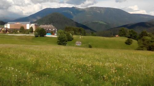 Almet, apartmánove štúdio 205 (Almet, apartmanove studio 205) in โดโนวาลี