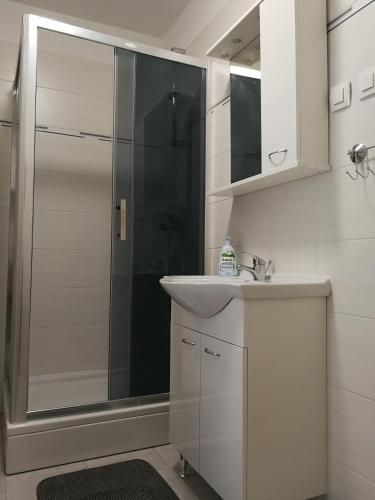 Apartment Violeta 2