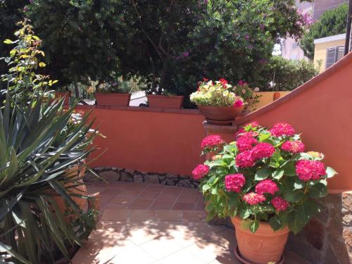 Villa le Bougainvillea
