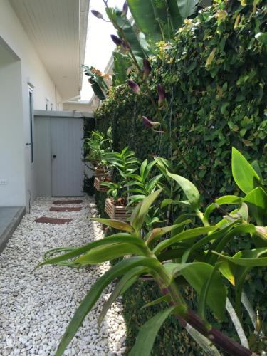 3 Bedroom Villa with pool 3 Bedroom Villa with pool