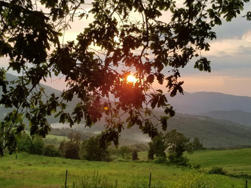 Agriturismo Da Pietro