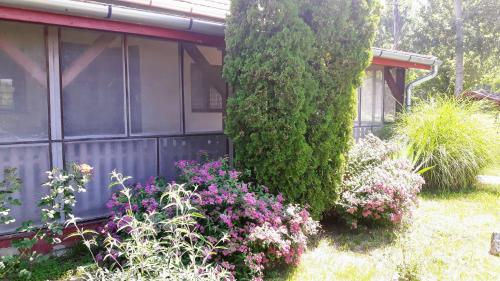 Viesnīcas āriene, Tiszai Vándor Apartmanház (Tiszai Vandor Apartmanhaz) in Kiskore