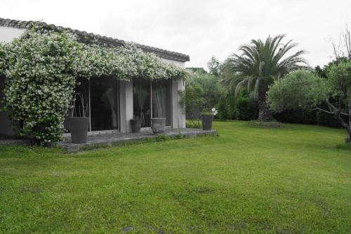 Studio au coeur de la petite camargue