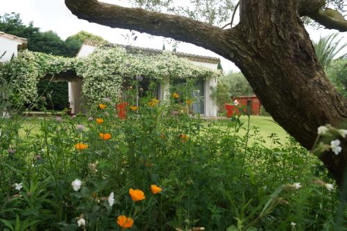 Studio au coeur de la petite camargue - Chambre d'hôtes - Beauvoisin