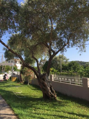 Villa Marianna - image 3