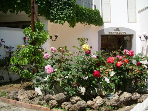 Hotel Baia - image 11