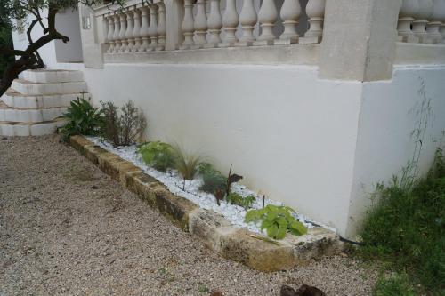 Studio au coeur de la petite camargue