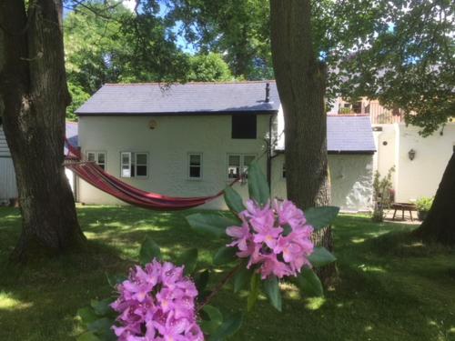 Claremont Coach House - Accommodation - Frensham