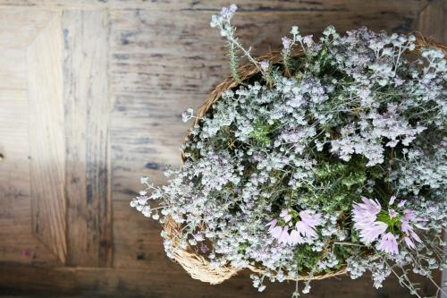 Can Tres Formentera Can Tres Formentera