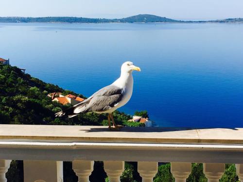 Apartments Jasmina - Location saisonnière - Vinišće