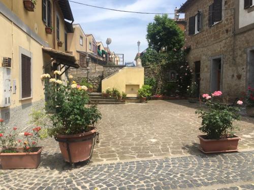 Casa Bertocco in Canale Monterano