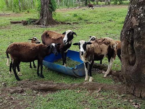 Posada Rural Oasis