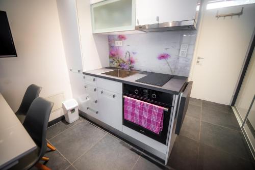 Cocina, Golf apartment with SPA tickets discount in Moravske Toplice