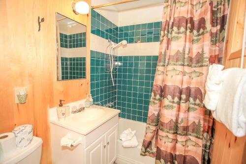 Cottage in the Pines-1667 by Big Bear Vacations - image 11