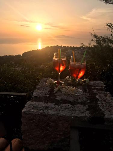 Agriturismo del Sole - image 6